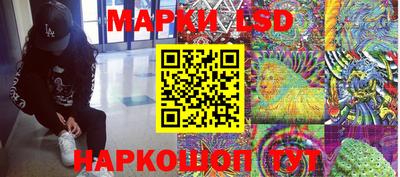 СК Камышлов