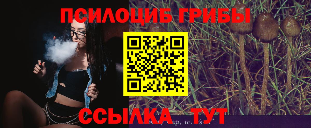 Галлюциногенные грибы Psilocybe Чебаркуль