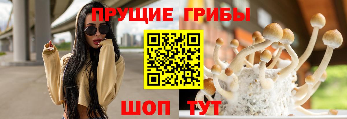 Чебаркуль  Галлюциногенные грибы мухоморы  Вход с VPN 